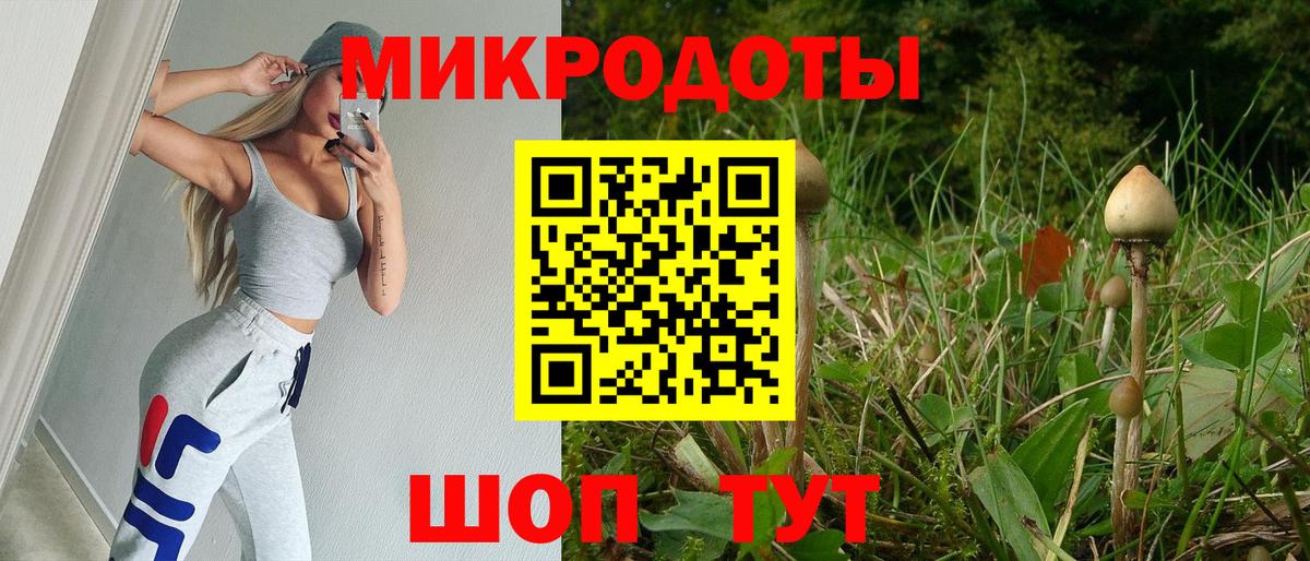 Псилоцибиновые грибы Cubensis Новоуральск