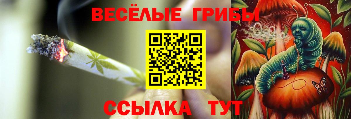 Псилоцибиновые грибы Magic Shrooms  Вход с VPN  Новоуральск  Галлюциногенные грибы мицелий 